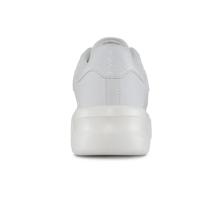 Vantura_Blanco_posterior